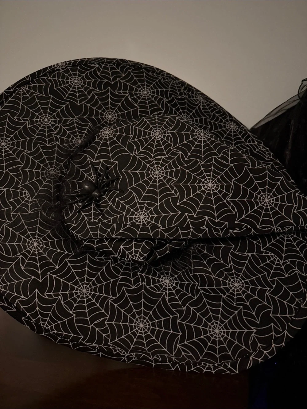 Pottery Barn Kids - Glow in Dark Black Spider Web Witch Costume for Kids